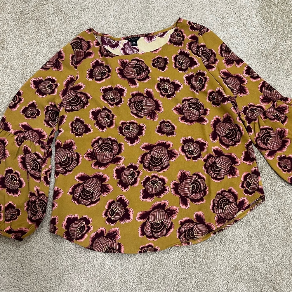 Ann Taylor SP